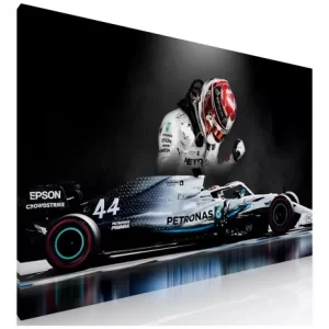 Cuadro Decorativo Dormitorio Sala Oficina Piloto Formula