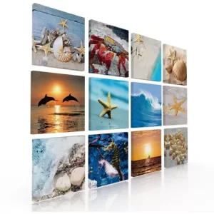 Set De 12 Cuadros Decorativos  La Vida En El Mar