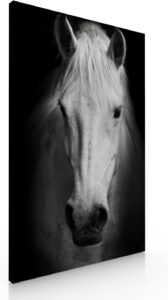 Cuadro Decorativo Moderno Para Sala Recamara o Comedor Caballo Blanco-Decoracion Sala-Canvas-...
