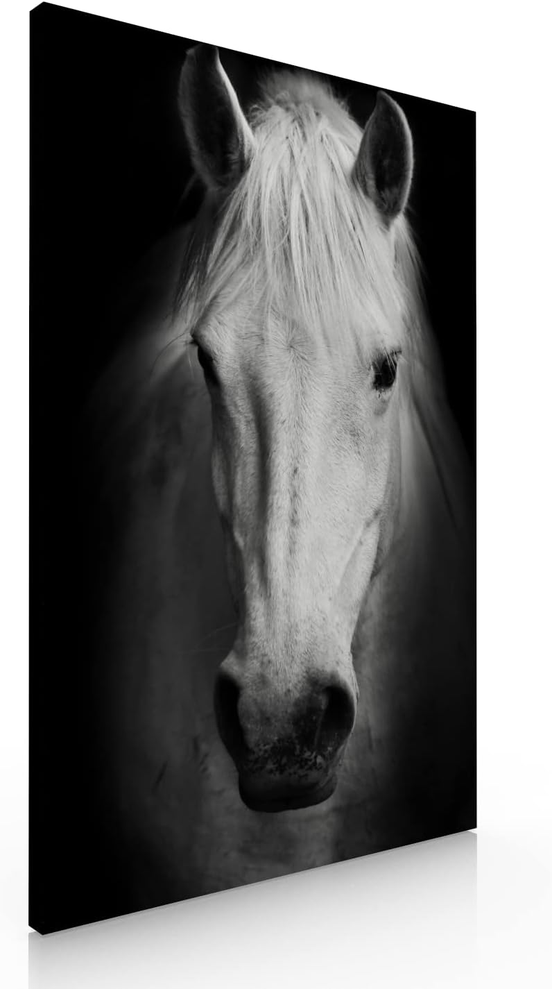 Cuadro Decorativo Moderno Para Sala Recamara o Comedor Caballo Blanco-Decoracion Sala-Canvas- Blanco y Negro Ideas Creativas In- 120 x 80 cm