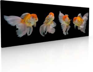 Cuadro Decorativo Moderno Para Sala Recamara o Comedor Peces Angel