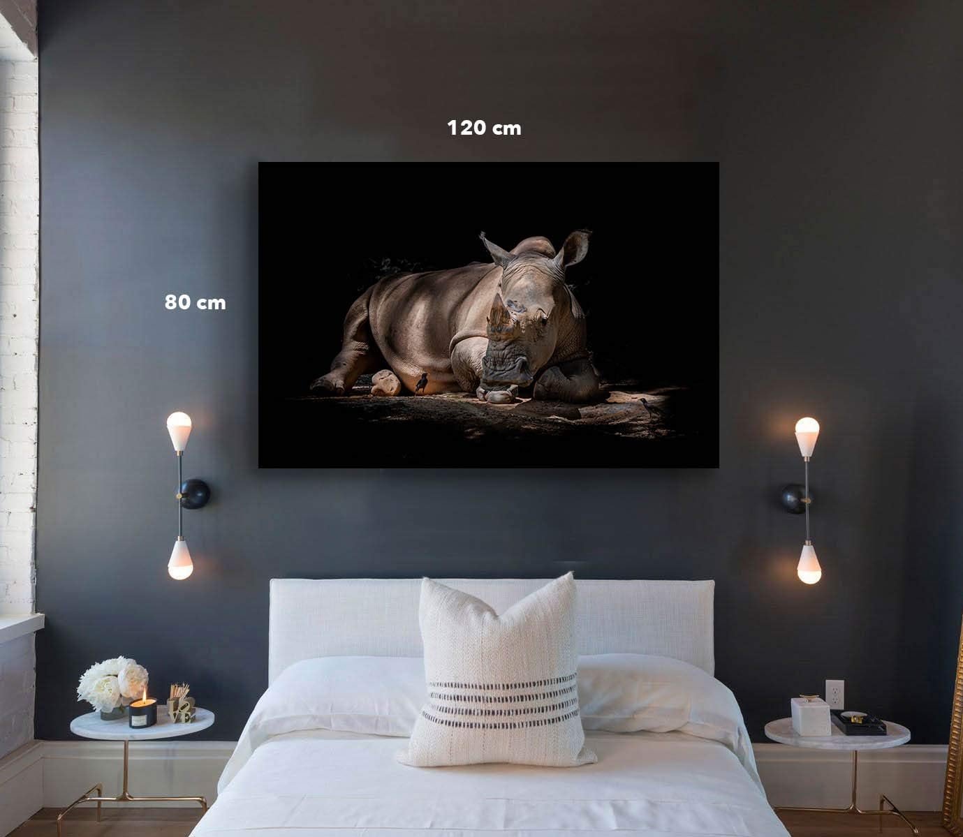 Cuadro Decorativo Moderno Para Sala o Recamara, Rinoceronte Fuerza Poder- Decoracion Sala- Ideas Creativas In - Imagen 4