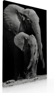 Cuadro Decorativo Moderno Para Sala Recamara o Comedor Elefante Protector-Decoracion-Canvas-...