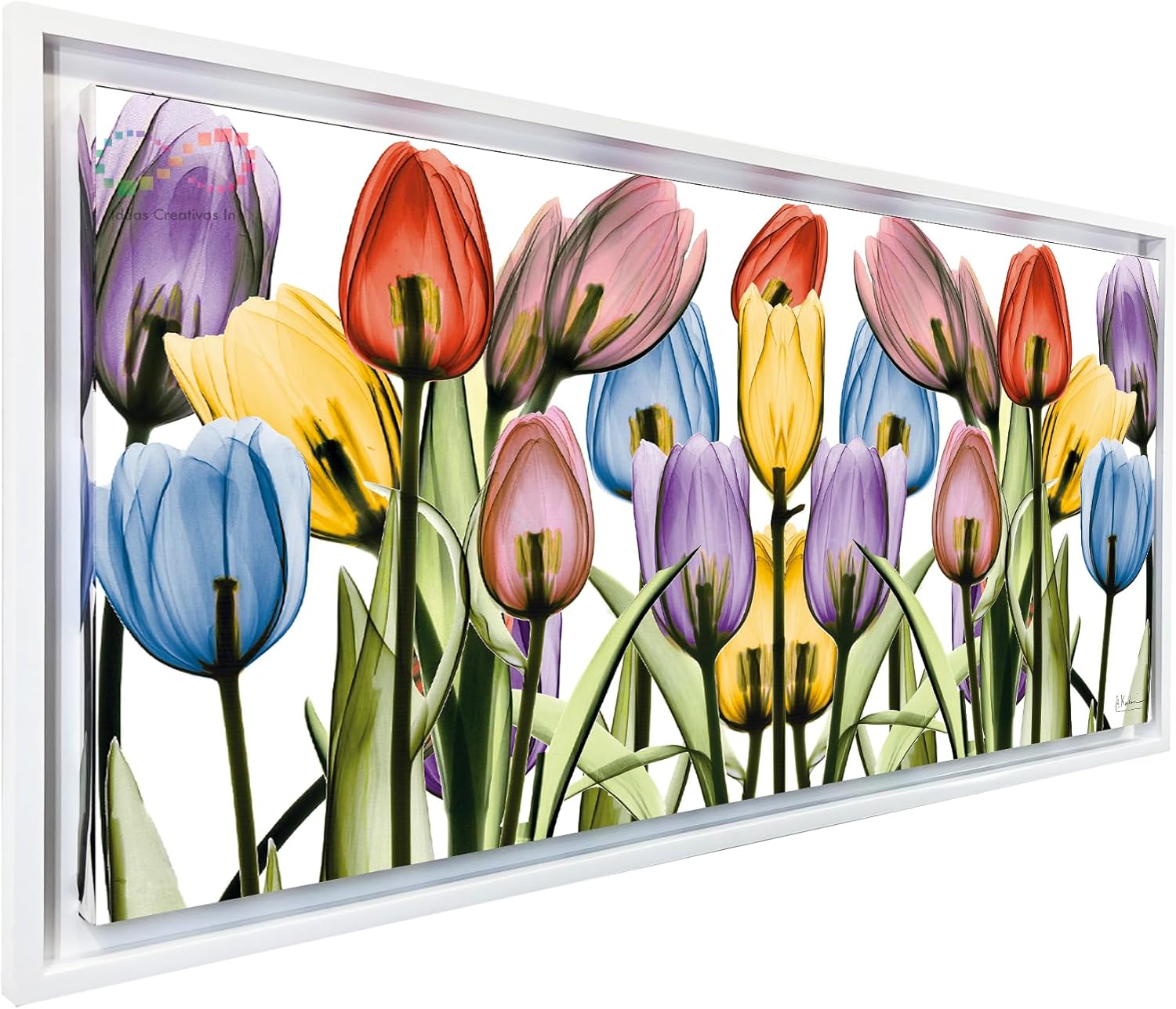Ideas creativas In-Cuadro Decorativo Moderno Con Marco Flotante Tulipanes de Color (Blanco)- Flores-Salas-Comedor-Textura Oleo-Tela Canvas-140 x 70 cm