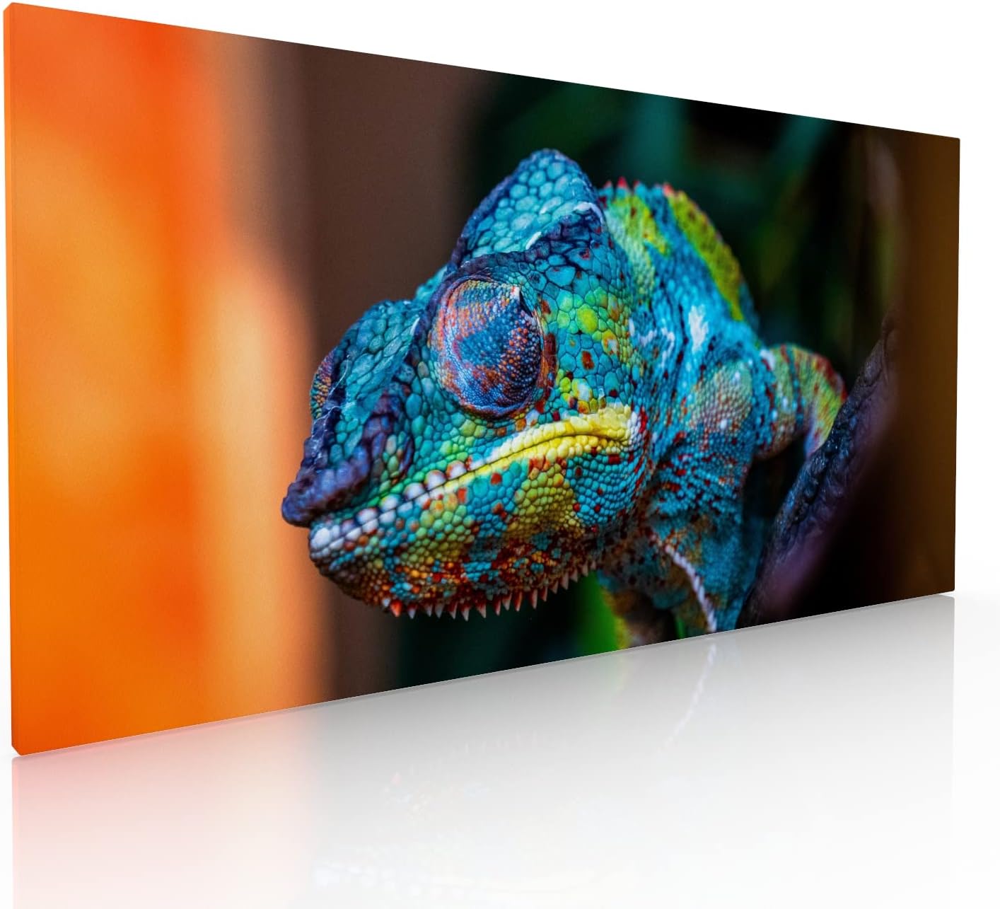 Cuadro Decorativo Moderno Para Sala Recamara o Comedor Camaleon