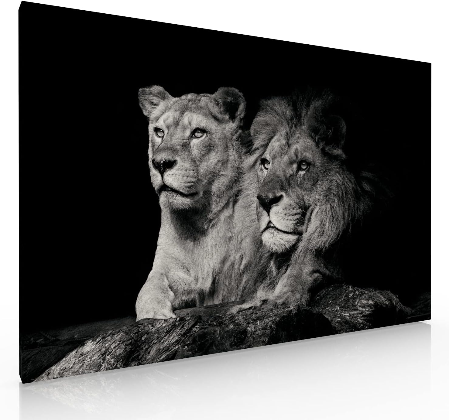Ideas Creativas in-Cuadro decorativo moderno para sala recamara o comedor pareja leon-Blanco y Negro-Canvas-120 cm x 80 cm