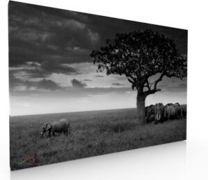 Ideas Creativas In - Elefantes En La Lluvia - Canvas Moderno - Elefantes Blanco Y Negro - Paisaje -...